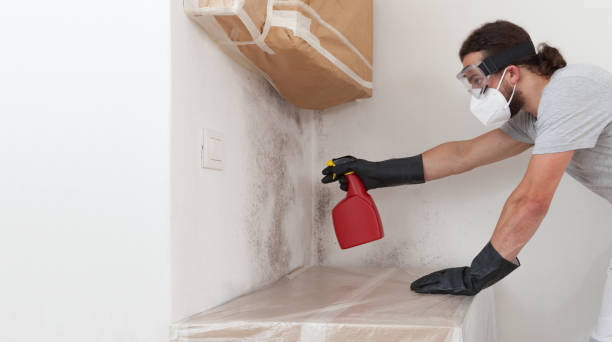 Professional Bathroom Mold Removal technician working in Tarpon Springs, FL