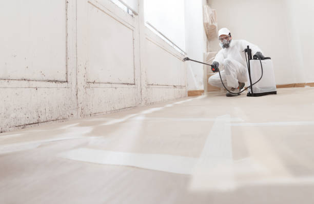 24/7 Emergency Bathroom Mold Removal experts in Tarpon Springs, FL