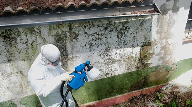 Top rated local Bathroom Mold Removal specialists in Tarpon Springs, FL